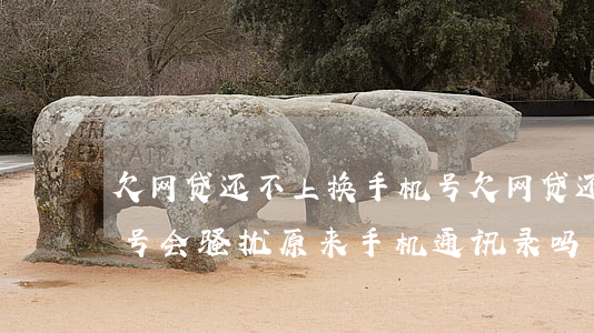 欠网贷还不上换手机号(欠网贷还不上换手机号,会骚扰原来手机通讯录吗)