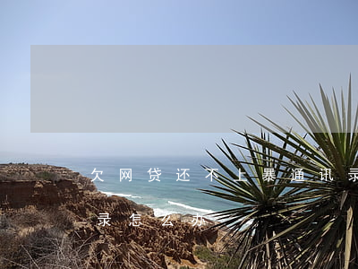 欠网贷还不上暴通讯录(欠网贷逾期被爆通讯录怎么办)