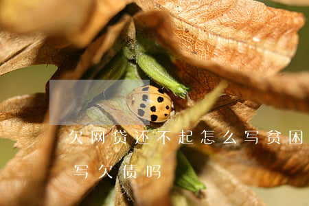 欠网贷还不起怎么写贫困证明(贫困申请可以写欠债吗)