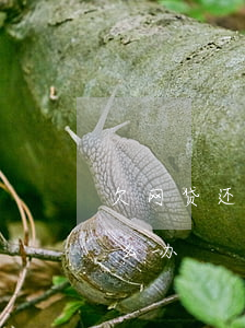 欠网贷还不起房子会被(欠网贷实在还不起怎么办)
