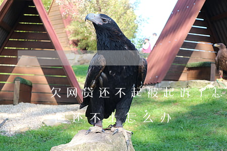 欠网贷还不起被起诉了怎么办(被网贷起诉了但还不上怎么办)