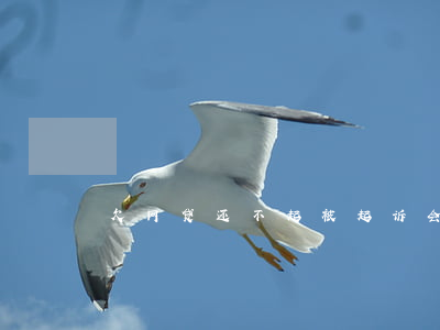 欠网贷还不起被起诉会怎样