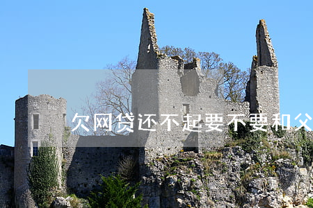 欠网贷还不起要不要和父母说