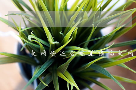 欠网贷还全网通缉吗(欠网贷会被网上追逃吗)
