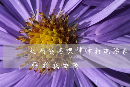 欠网贷还呗律师打电话来有没有事-还呗律师找我协商
