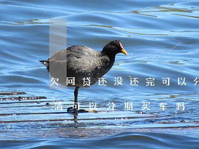 欠网贷还没还完可以分期买车吗(有网贷没还清可以分期买车吗)