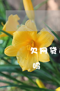 欠网贷还能买房贷款吗(欠网贷还能按揭买房吗)