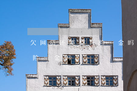 欠网贷还能交五险一金吗(网贷逾期还能买五险一金吗)