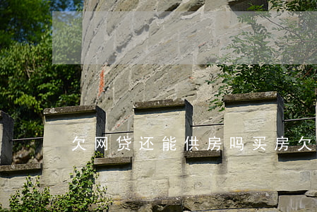 欠网贷还能供房吗(买房欠网贷还可以贷款吗?)