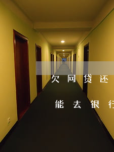欠网贷还能去银行申请储蓄卡吗-欠网贷还能去银行申请储蓄卡吗知乎