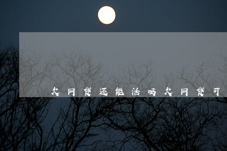 欠网贷还能活吗(欠网贷可以慢慢还吗)