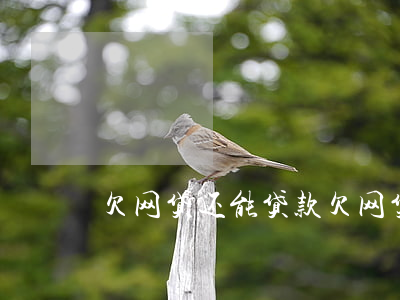 欠网贷还能贷款(欠网贷还能贷款买房吗)