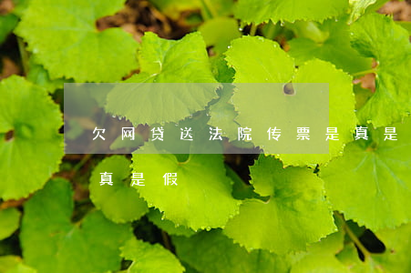 欠网贷送法院传票是真是假(欠网贷发传票是真是假)