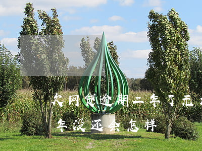 欠网贷逾期二年了无力偿还怎么办(欠网贷二年没还会怎样)