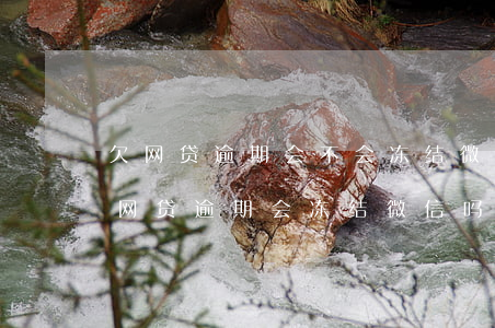 欠网贷逾期会不会冻结微信和银行卡（信用卡网贷逾期会冻结微信吗）