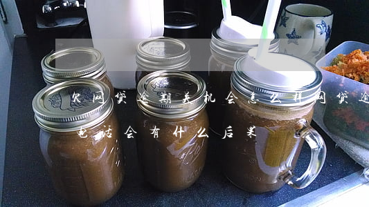 欠网贷逾期关机会怎么样(网贷逾期,不接催收电话,会有什么后果?)