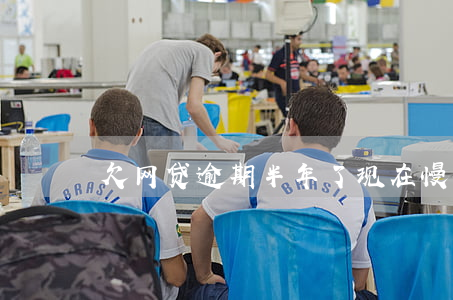 欠网贷逾期半年了现在慢慢还