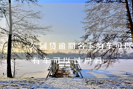 欠网贷逾期名下的车可以过户吗(欠网贷名下有车可以过户吗)