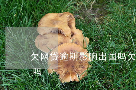 欠网贷逾期影响出国吗(欠网贷逾期影响出国吗)