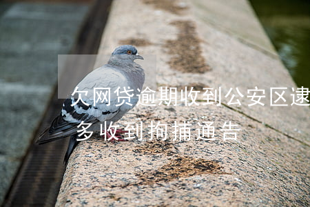 欠网贷逾期收到公安区逮捕信息(网贷欠一万多收到拘捕通告)