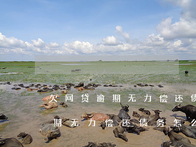 欠网贷逾期无力偿还债务怎么办-欠网贷逾期无力偿还债务怎么办呢