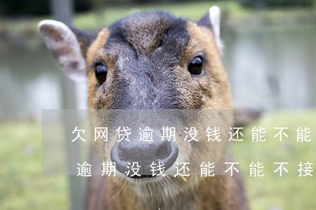 欠网贷逾期没钱还能不能不接电话-欠网贷逾期没钱还能不能不接电话了