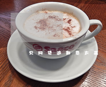 欠网贷逾期费太高