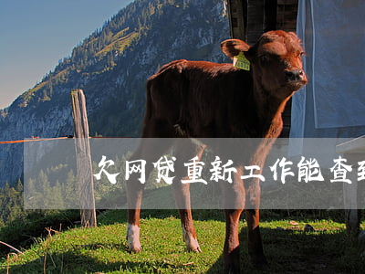 欠网贷重新工作能查到吗