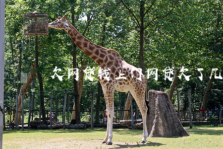 欠网贷钱上门(网贷欠了几千块钱说要上门)