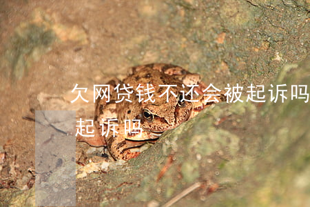 欠网贷钱不还会被起诉吗(欠网贷钱不还会被起诉吗)