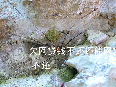 欠网贷钱不还还能网贷吗(哪些网贷欠钱可以不还)