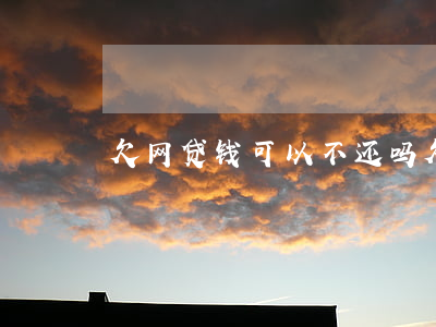 欠网贷钱可以不还吗(欠网贷钱不还会怎么样)