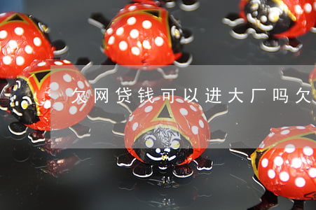 欠网贷钱可以进大厂吗(欠网贷能进厂上班不)