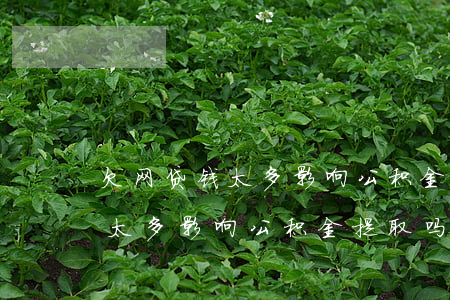 欠网贷钱太多影响公积金提取吗-欠网贷钱太多影响公积金提取吗怎么办