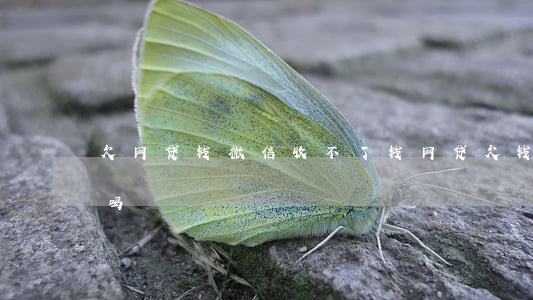 欠网贷钱微信收不了钱(网贷欠钱会冻结微信吗)