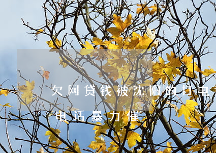 欠网贷钱被沈阳的打电话催收6-网贷被打电话暴力催