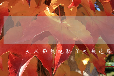 欠网贷钱跑路了(欠钱跑路吧)