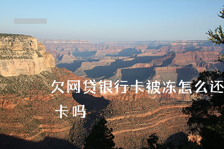 欠网贷银行卡被冻怎么还(欠网贷能冻结银行卡吗)