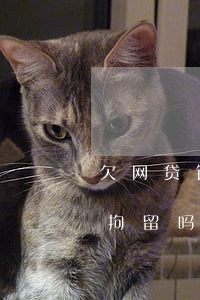 欠网贷银行多久会被警察审查(网贷欠款会被拘留吗)