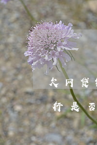欠网贷银行是否会打电话到单位-欠网贷银行是否会打电话到单位来