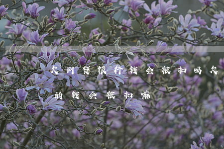 欠网贷 银行钱会被扣吗(欠网贷名下银行卡里的钱会被扣嘛)
