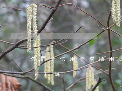 欠罰金信用卡還能用嗎(欠罰金能坐飛機(jī)嗎)