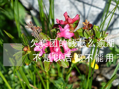 欠美团的钱怎么逾期了一天(美团逾期一天是不是以后都不能用了?)