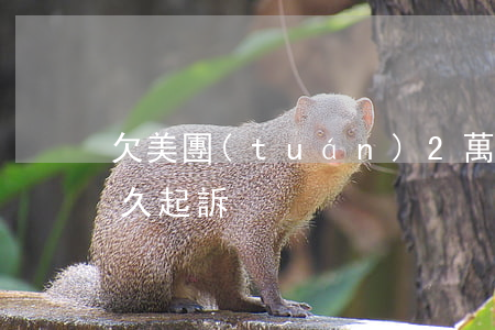 欠美團(tuán)2萬(wàn)逾期多久起訴