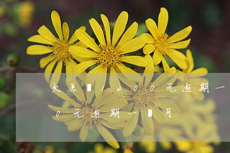 欠美團1200元逾期一個月(欠美團1200元逾期一個月)