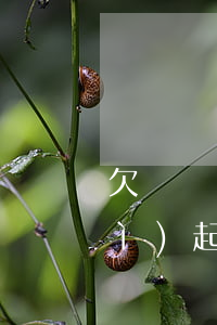 欠興業(yè)信用卡17000會(huì)起訴嗎-欠興業(yè)信用卡17000會(huì)起訴嗎知乎