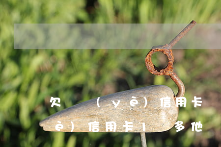 欠興業(yè)信用卡沒錢還-欠興業(yè)信用卡1萬多,他們會不會上門來找?