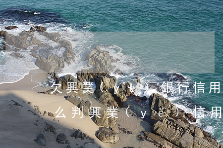 欠興業(yè)銀行信用卡6萬多法院會怎么判（興業(yè)信用卡欠4000多逾期半年）
