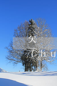 欠興業(yè)銀行信用卡逾期一萬七千會(huì)起訴嗎-欠興業(yè)銀行信用卡逾期一萬七千會(huì)起訴嗎