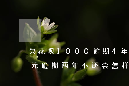 欠花呗1000逾期4年(花呗欠款1000元逾期两年不还会怎样?)